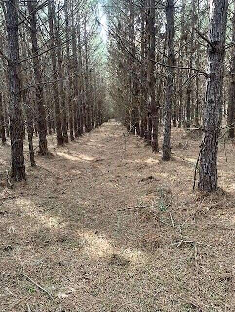 40.9 Acres of Recreational Land for Sale in Timpson, Texas