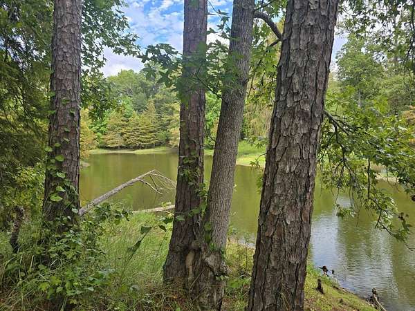 6.82 Acres of Commercial Land for Sale in Many, Louisiana