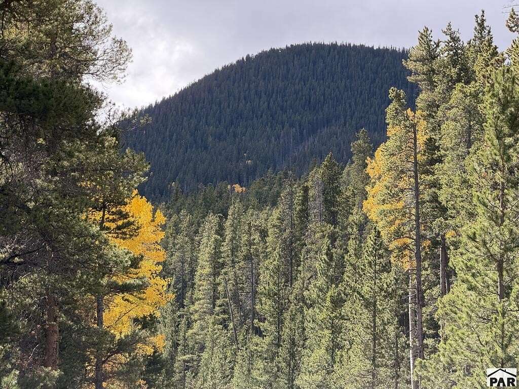 3.21 Acres of Land for Sale in Fort Garland, Colorado