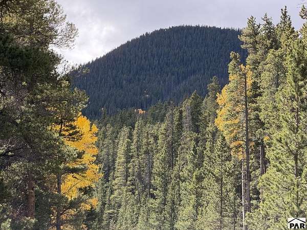 3.21 Acres of Land for Sale in Fort Garland, Colorado