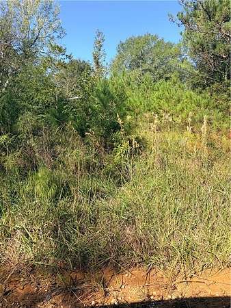 36 Acres of Recreational & Residential Land for Sale in Clayton, Alabama
