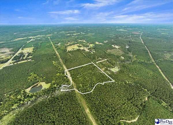 19.4 Acres of Recreational Land for Sale in Cheraw, South Carolina
