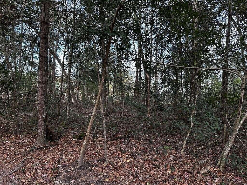 0.34 Acres of Residential Land for Sale in Thomasville, Georgia