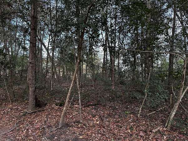 0.34 Acres of Residential Land for Sale in Thomasville, Georgia