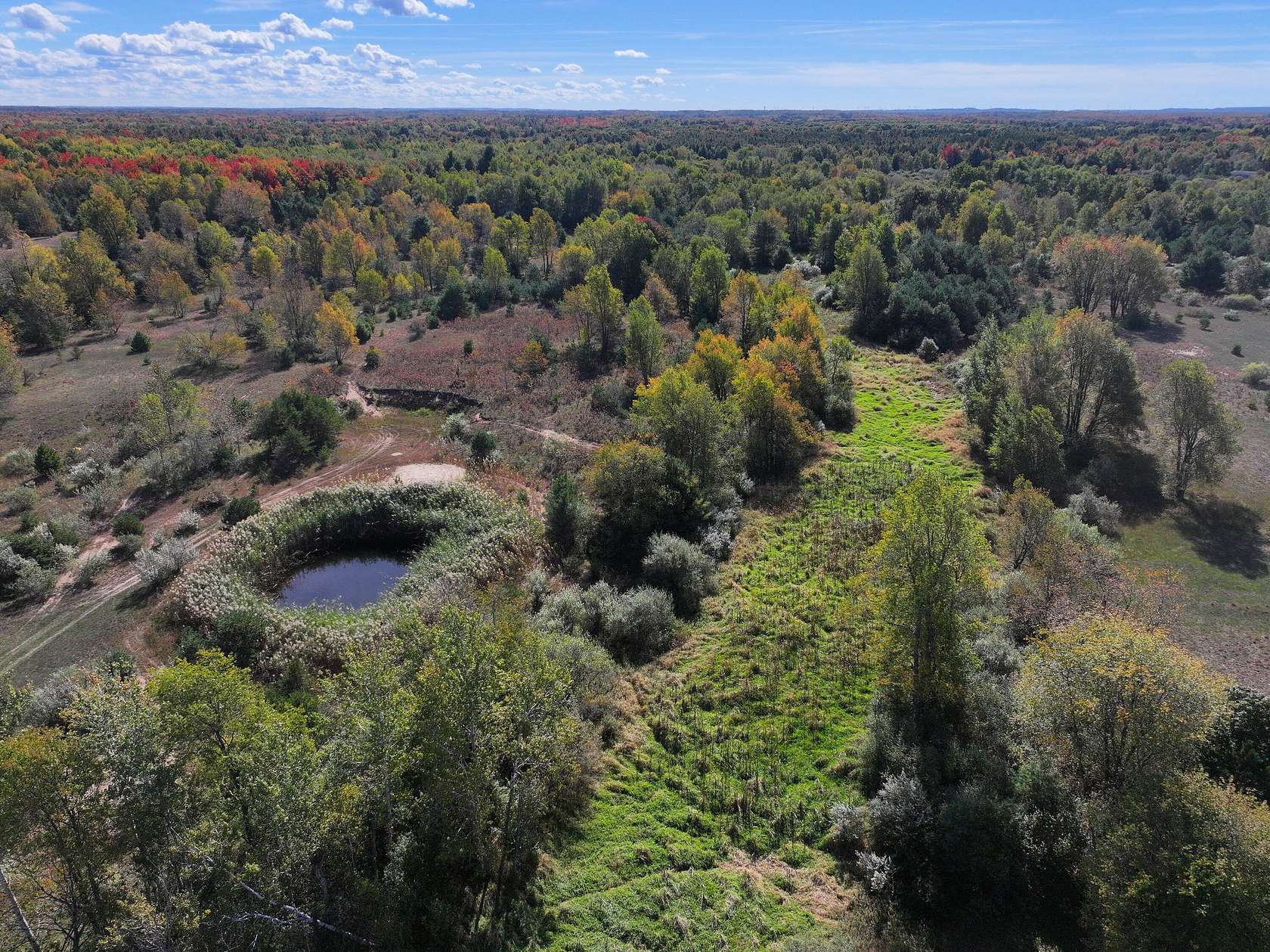 40 Acres of Land for Sale in Scottville, Michigan