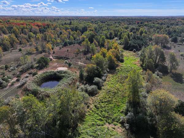 40 Acres of Land for Sale in Scottville, Michigan