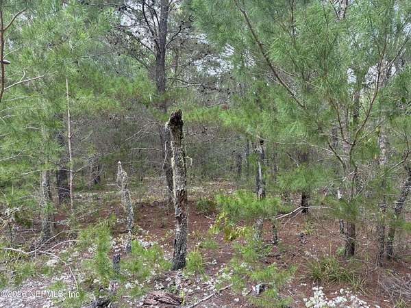0.33 Acres of Land for Sale in Interlachen, Florida