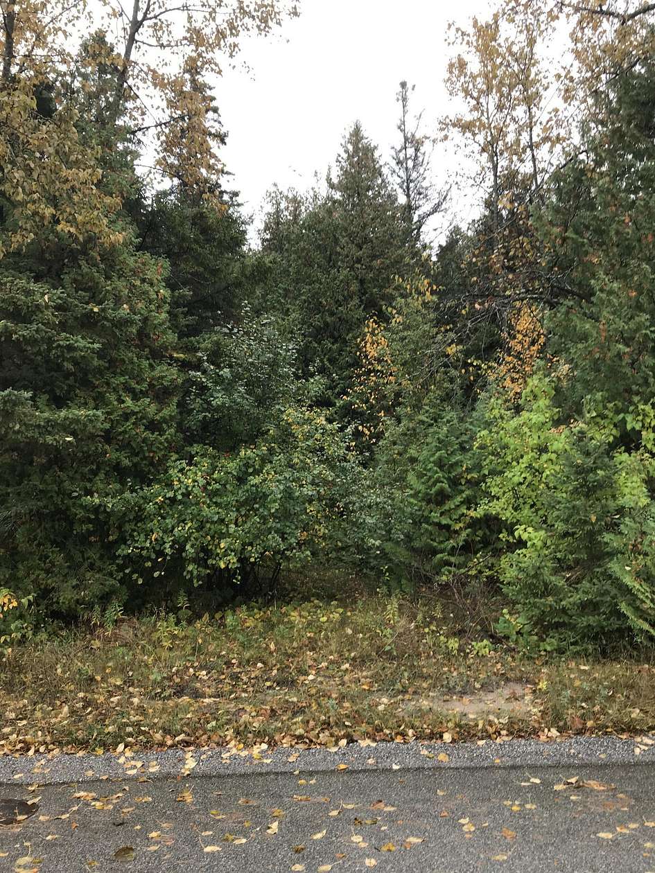 0.6 Acres of Land for Sale in De Tour Village, Michigan