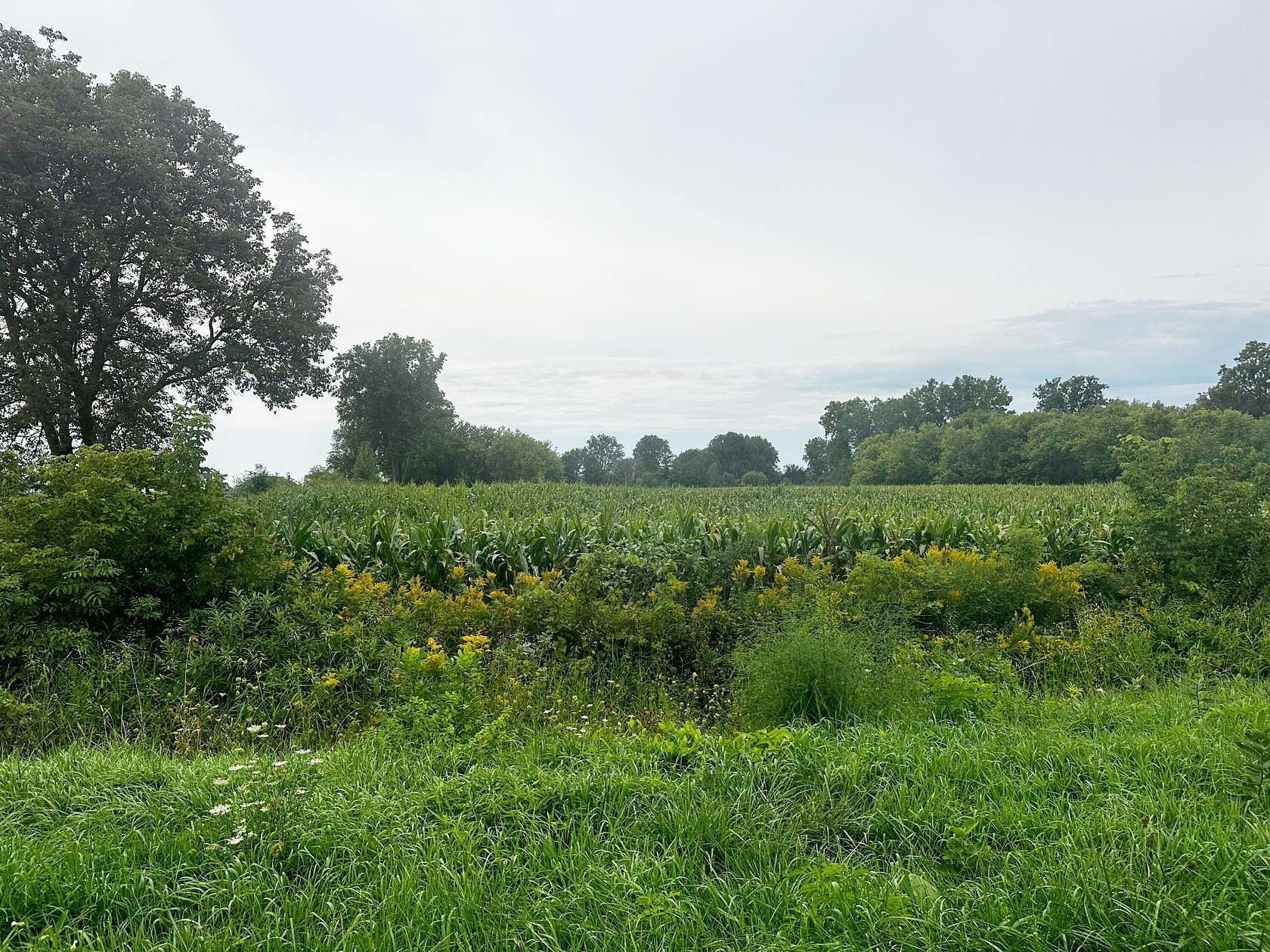 2 Acres of Land for Sale in Allendale, Michigan