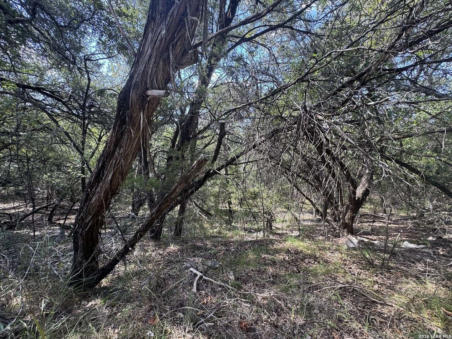 0.3 Acres of Residential Land for Sale in Lake Hills, Texas