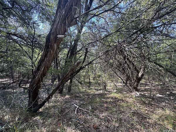 0.3 Acres of Residential Land for Sale in Lake Hills, Texas