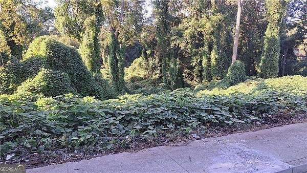1.5 Acres of Residential Land for Sale in Atlanta, Georgia