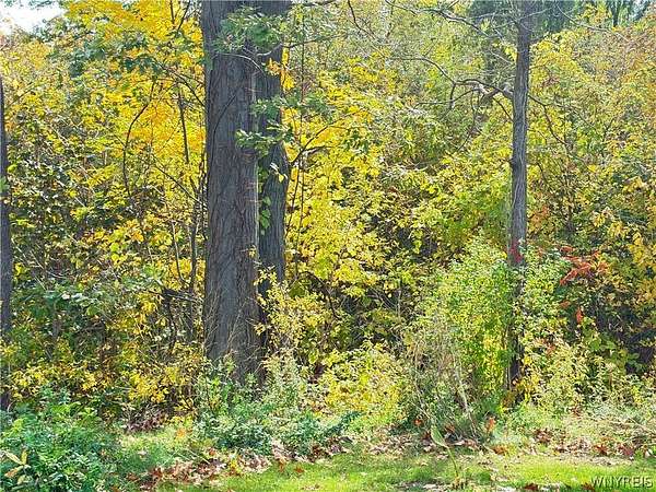 2.7 Acres of Residential Land for Sale in Lewiston, New York