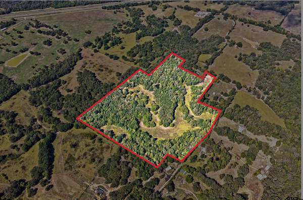 44.4 Acres of Recreational & Residential Land for Sale in Mount Pleasant, Texas