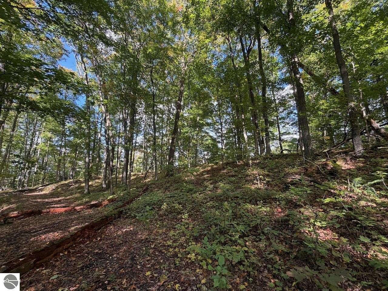 0.4 Acres of Residential Land for Sale in Bellaire, Michigan
