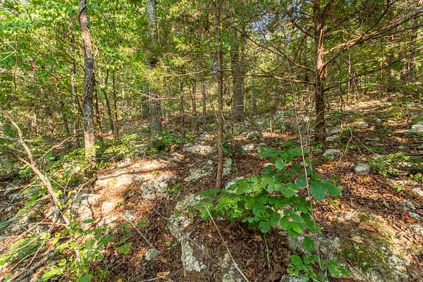 0.31 Acres of Residential Land for Sale in Horseshoe Bend, Arkansas