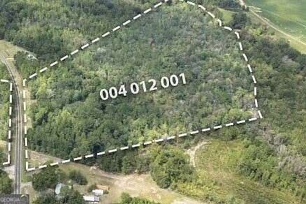21.3 Acres of Recreational & Residential Land for Sale in Claxton, Georgia