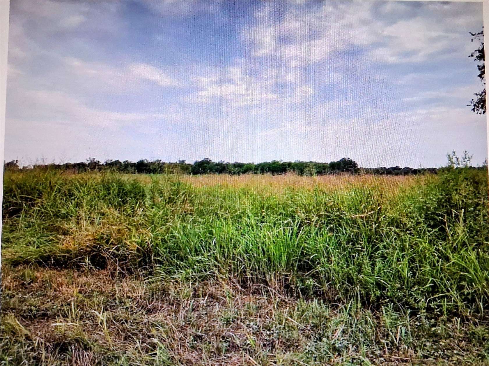 10 Acres of Residential Land for Sale in Honey Grove, Texas