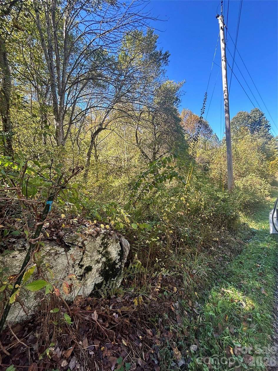 26.7 Acres of Recreational & Residential Land for Sale in Waynesville, North Carolina