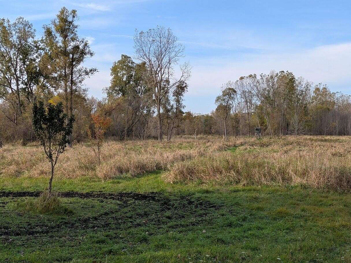 32.9 Acres of Recreational Land for Sale in Perry, Michigan