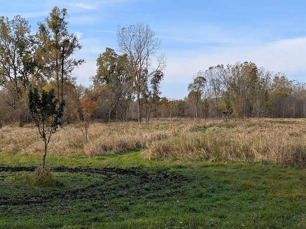 32.9 Acres of Recreational Land for Sale in Perry, Michigan
