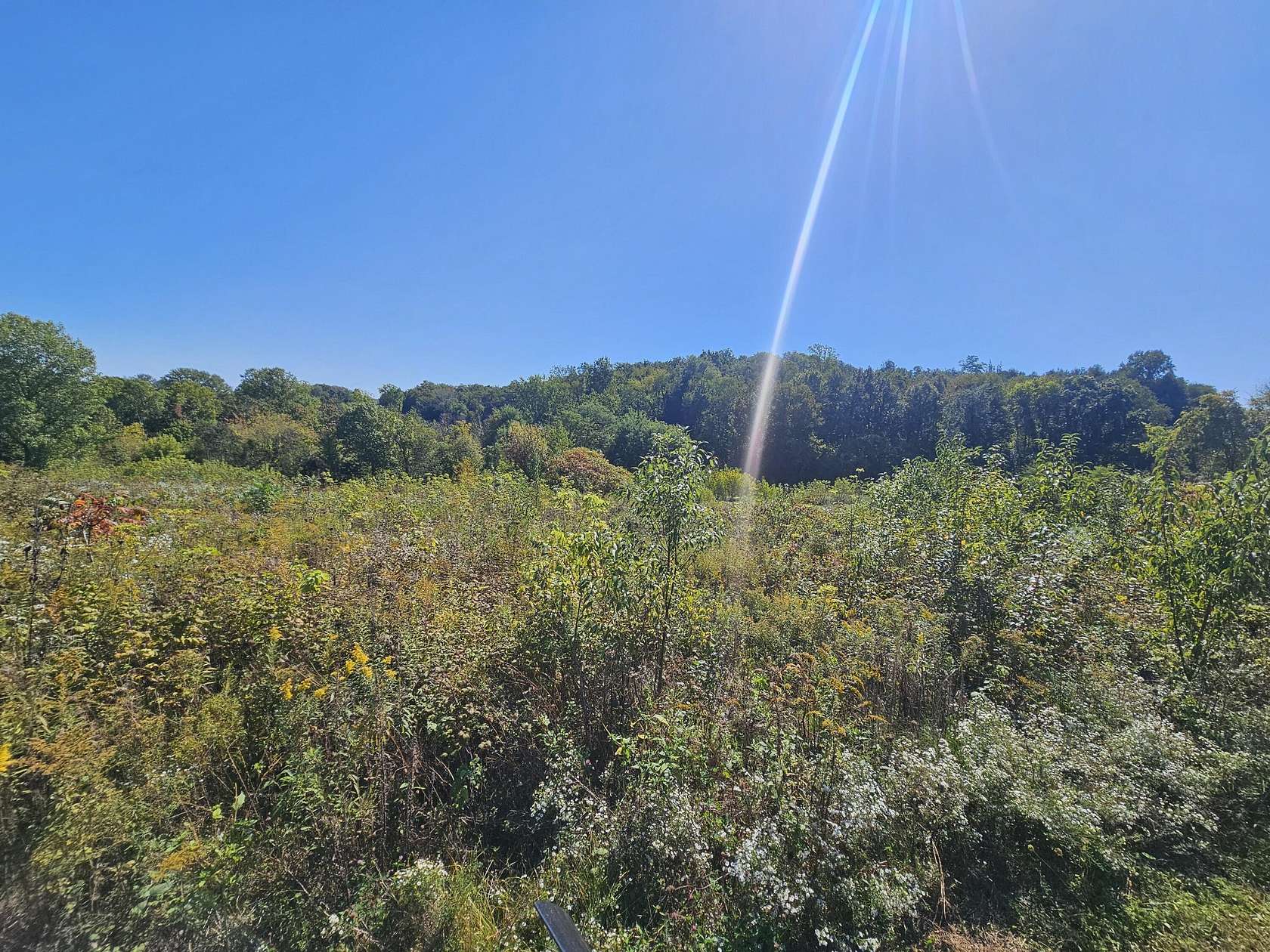 19.6 Acres of Recreational & Residential Land for Sale in Berrien Springs, Michigan
