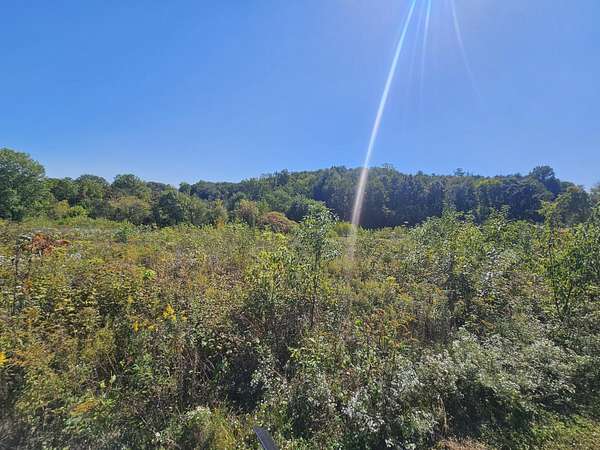 19.6 Acres of Recreational & Residential Land for Sale in Berrien Springs, Michigan