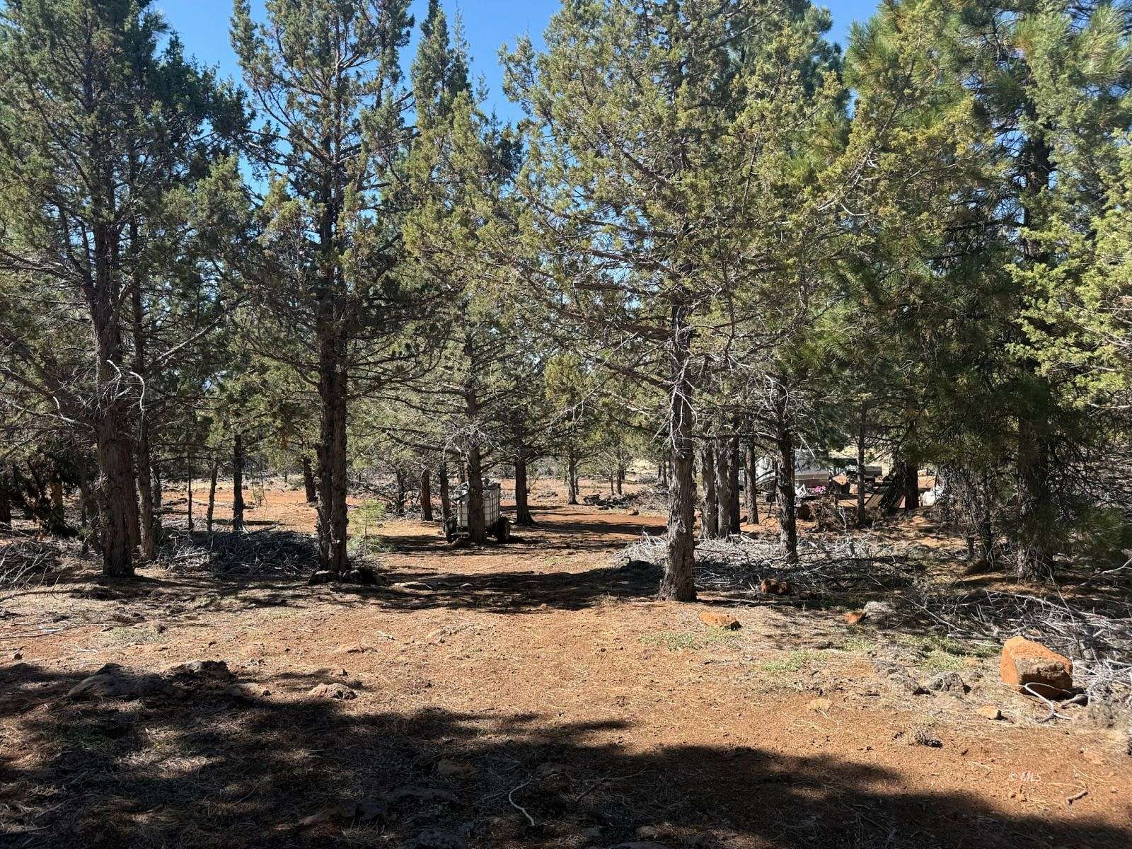 30 Acres of Land for Sale in Davis Creek, California