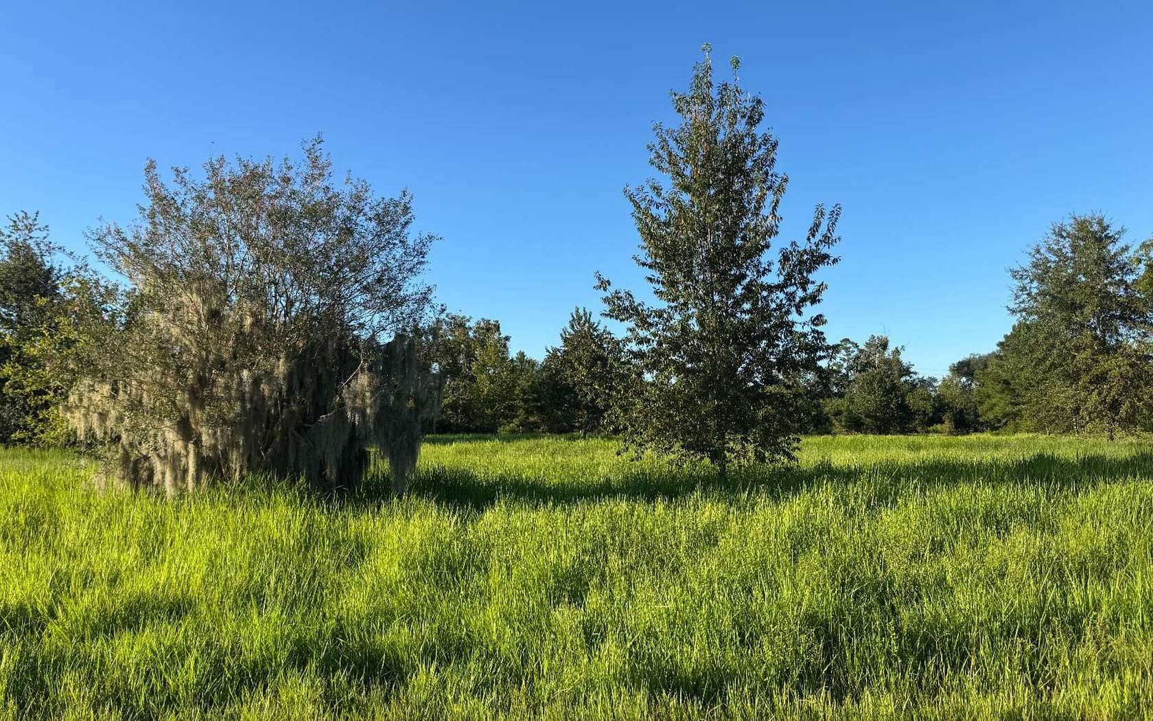 6.2 Acres of Commercial Land for Sale in Jasper, Florida