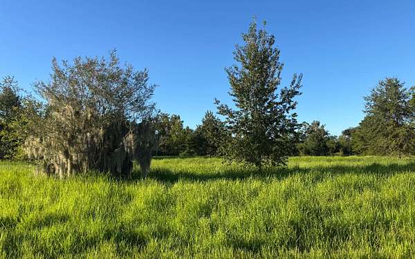 6.2 Acres of Commercial Land for Sale in Jasper, Florida