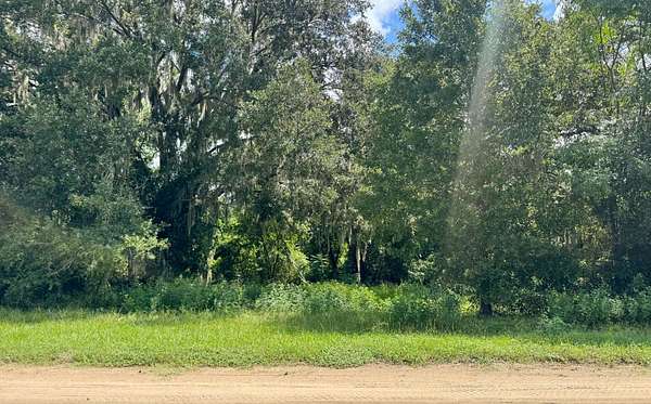 2.3 Acres of Residential Land for Sale in Jennings, Florida