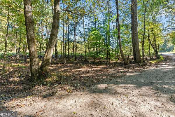 40 Acres of Land for Sale in Gainesville, Georgia