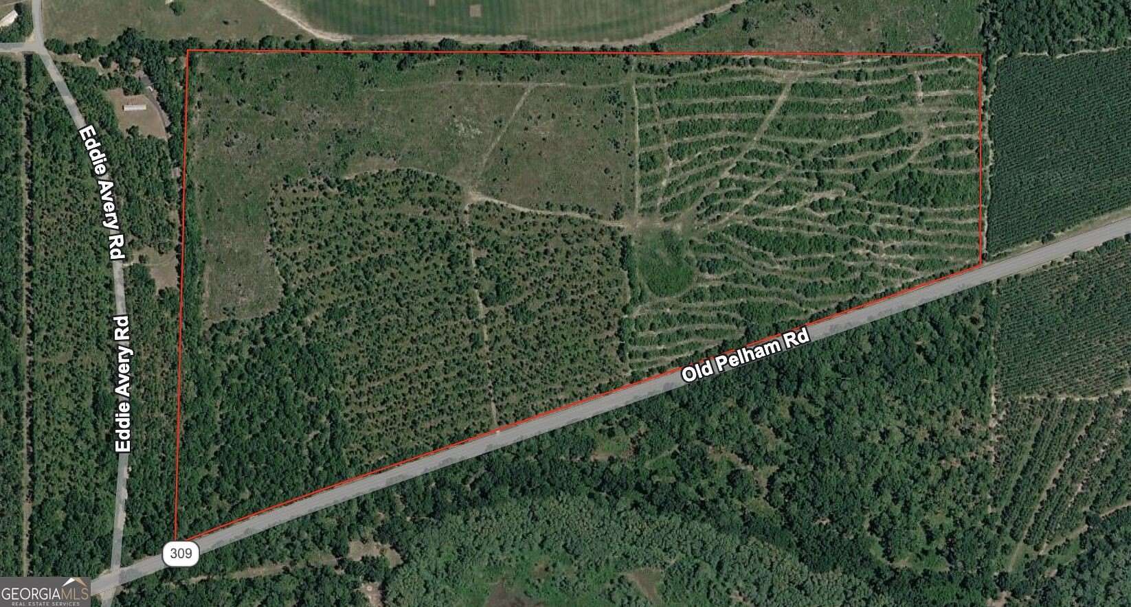 11 Acres of Recreational & Residential Land for Sale in Climax, Georgia