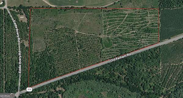 11 Acres of Recreational & Residential Land for Sale in Climax, Georgia