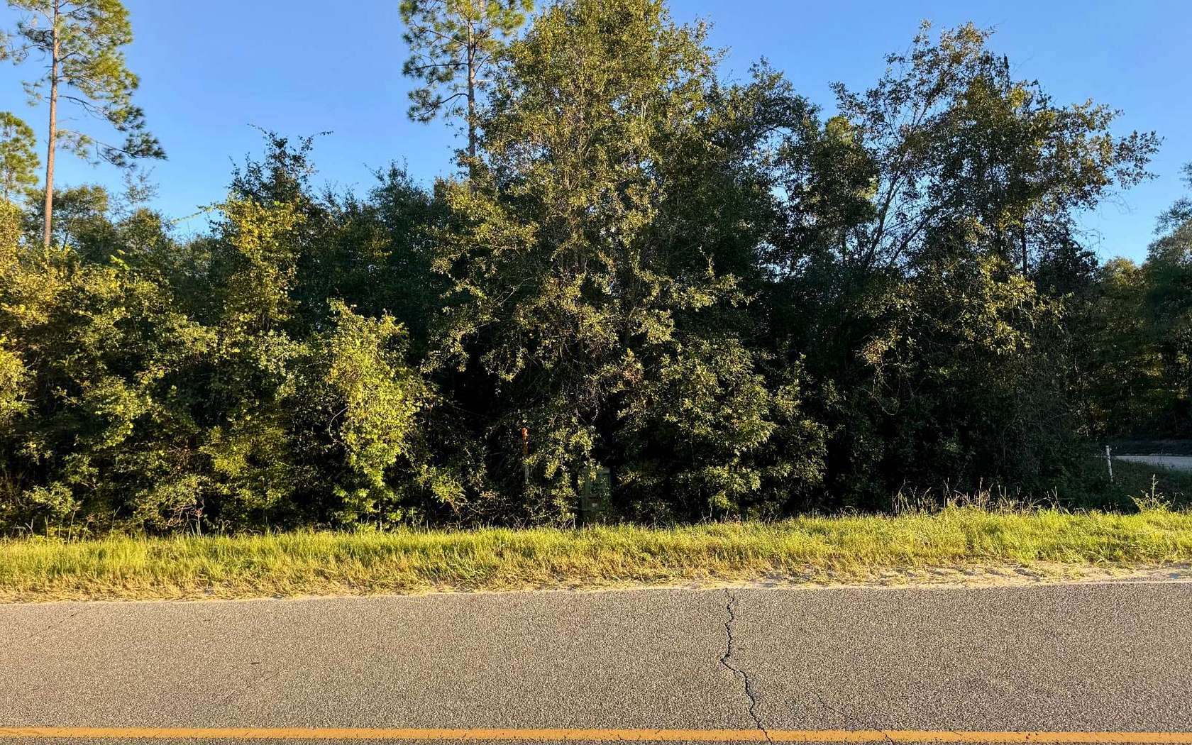 5.42 Acres of Land for Sale in Jasper, Florida