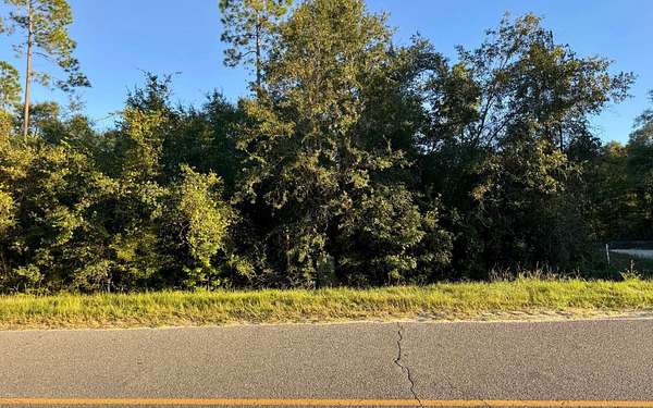 5.42 Acres of Land for Sale in Jasper, Florida
