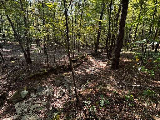 100 Acres of Recreational Land for Sale in Eldridge, Alabama