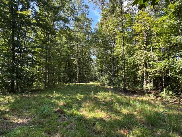 218 Acres of Recreational & Residential Land for Sale in Heflin, Alabama