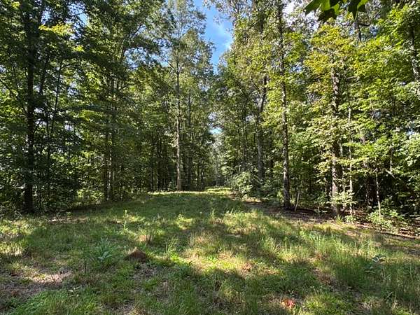 218 Acres of Recreational & Residential Land for Sale in Heflin, Alabama