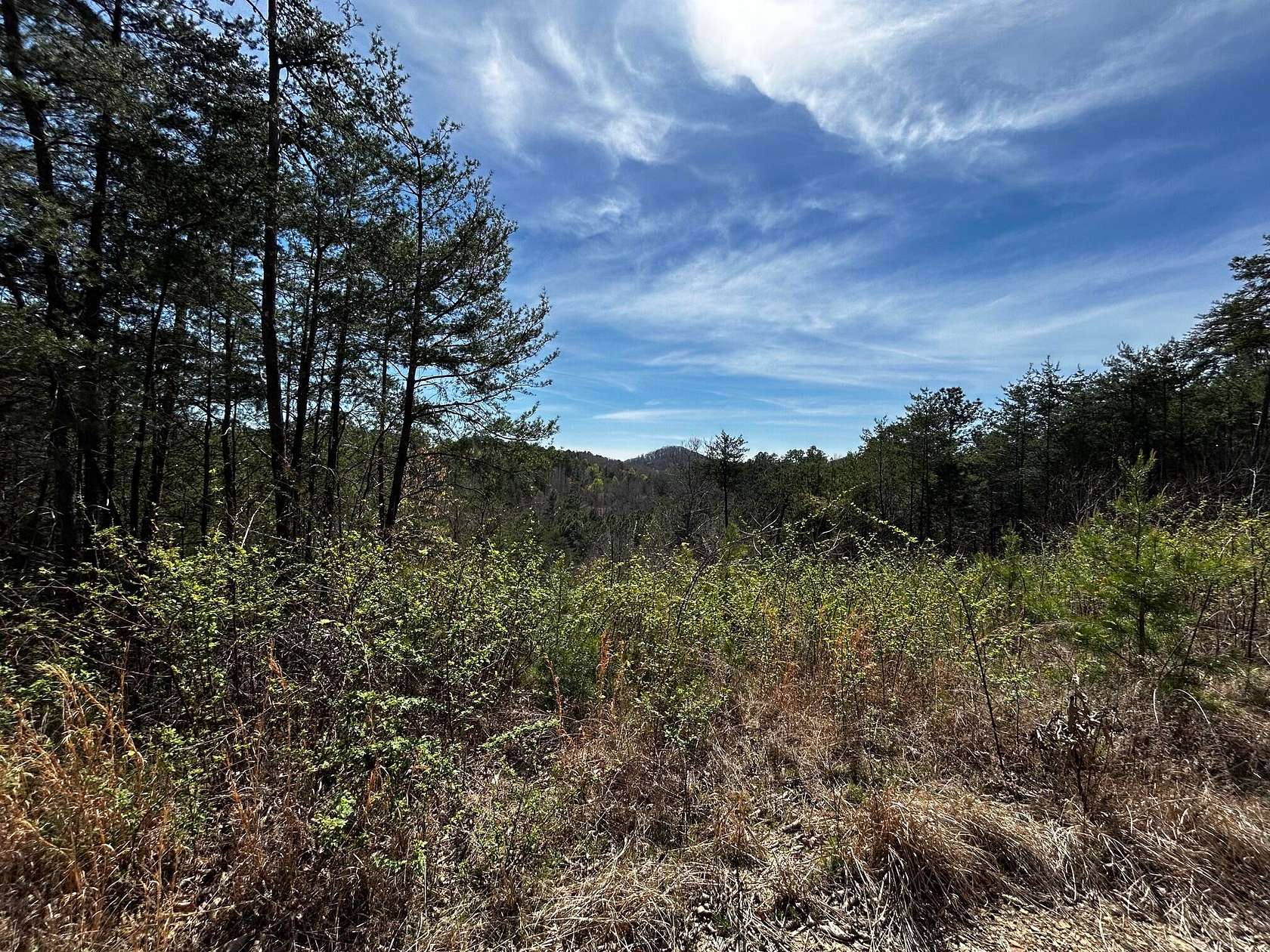 24.8 Acres of Recreational & Residential Land for Sale in McDonald, Tennessee