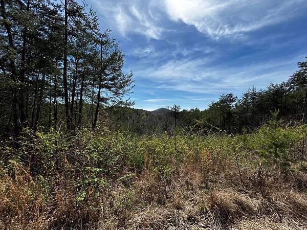 24.8 Acres of Recreational & Residential Land for Sale in McDonald, Tennessee