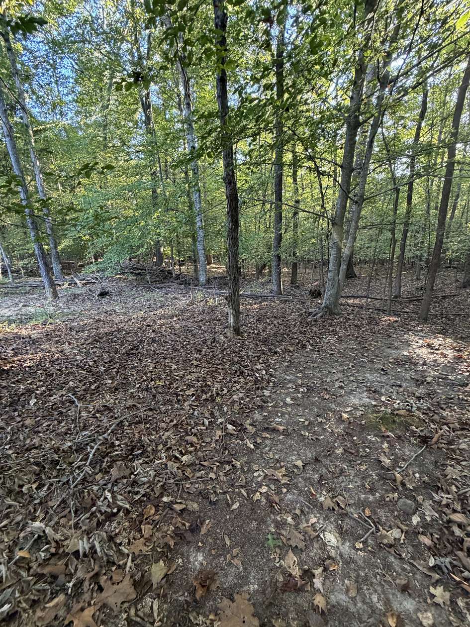 5 Acres of Recreational Land for Sale in Dover, Tennessee