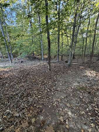 5 Acres of Recreational Land for Sale in Dover, Tennessee