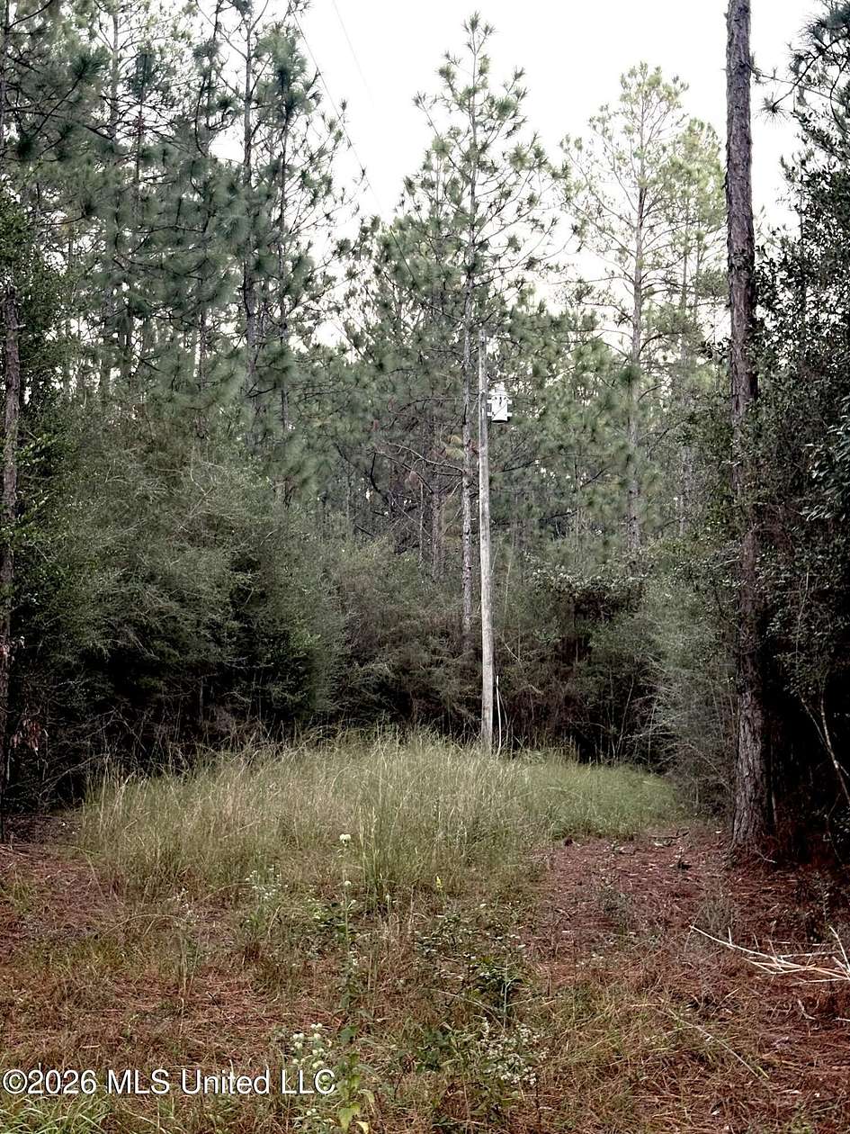 20 Acres of Recreational & Residential Land for Sale in Vancleave, Mississippi