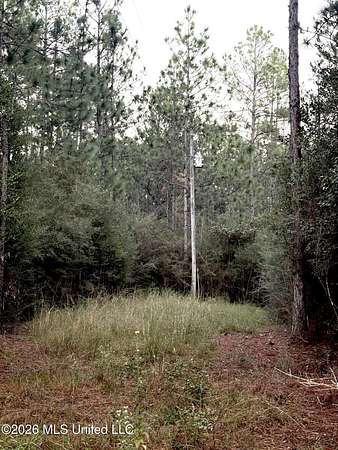 20 Acres of Recreational & Residential Land for Sale in Vancleave, Mississippi