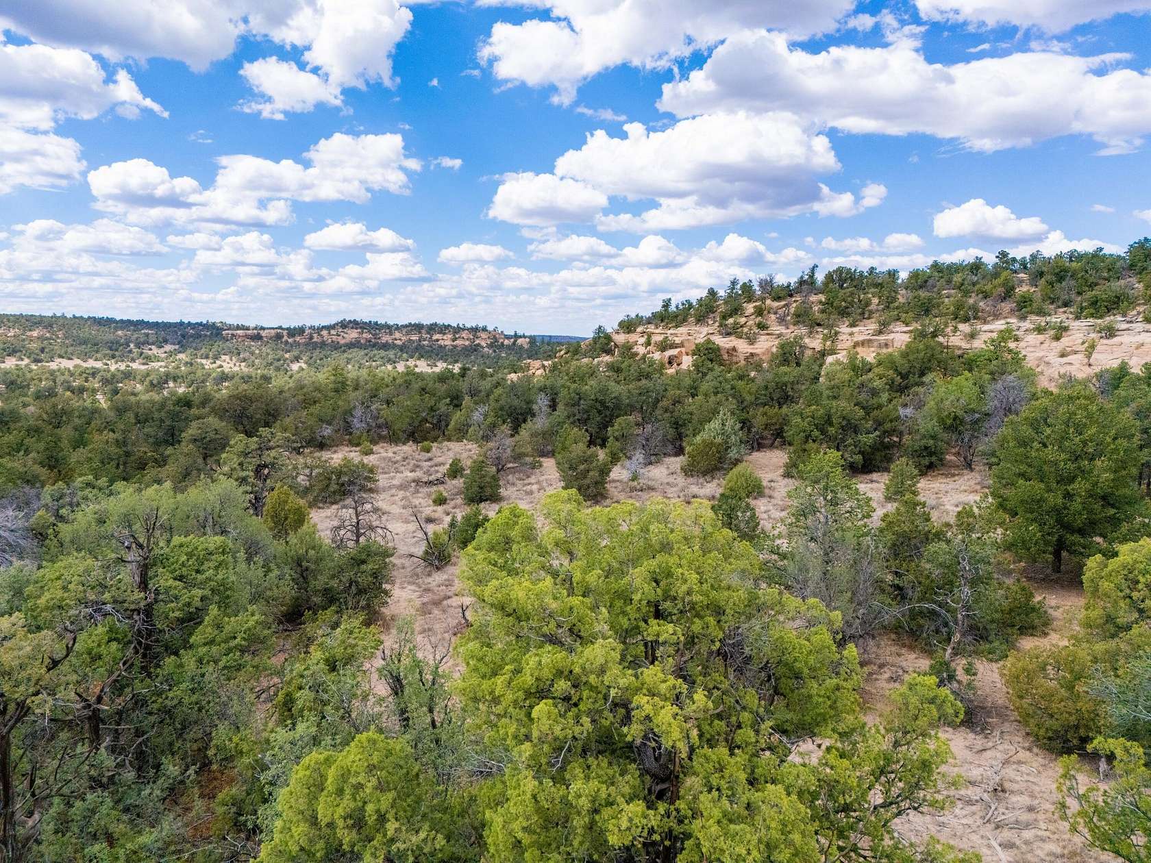 14.4 Acres of Recreational & Residential Land for Sale in Ramah, New Mexico