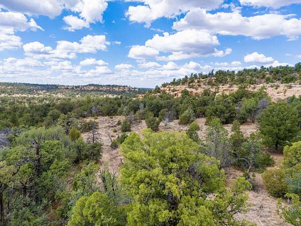 14.4 Acres of Recreational & Residential Land for Sale in Ramah, New Mexico