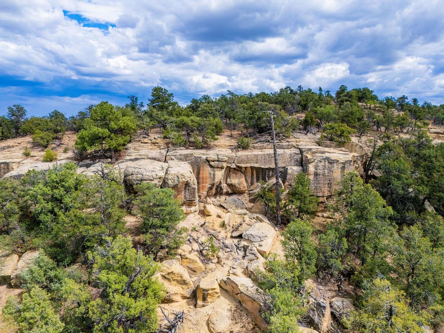 23.5 Acres of Recreational Land for Sale in Ramah, New Mexico