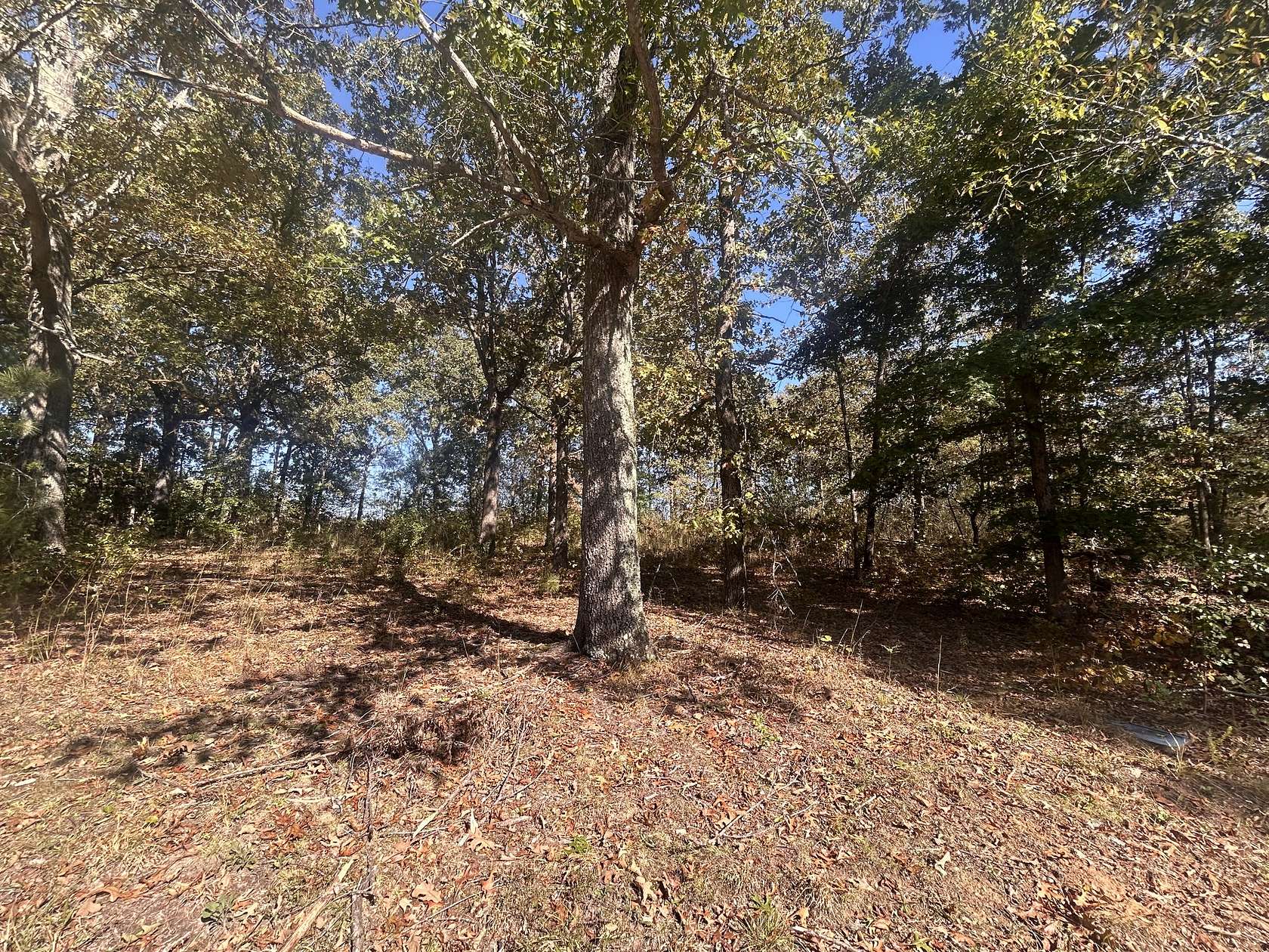 2 Acres of Residential Land for Sale in Summertown, Tennessee