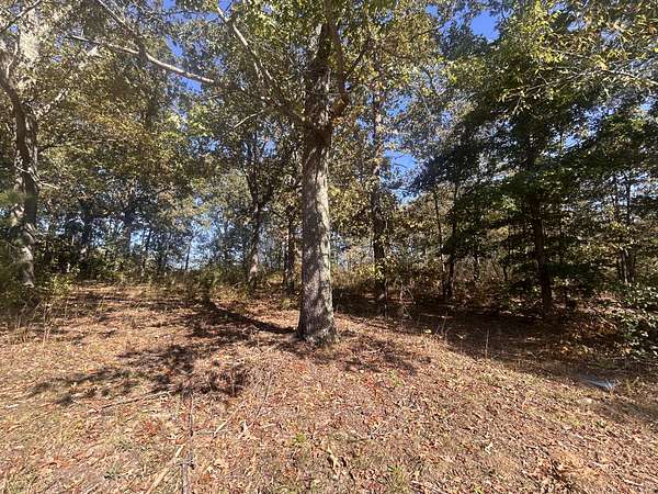 2 Acres of Residential Land for Sale in Summertown, Tennessee